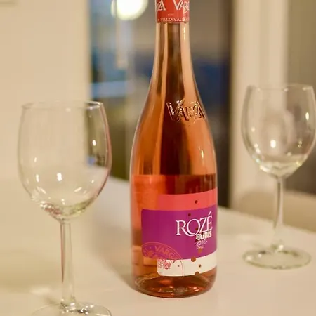 市中心大道一室公寓 公寓 布达佩斯